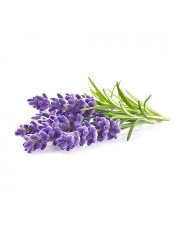 Click & Grow Click and Grow - Smart Garden Refill 3-pack - Lavender (SGR30X3)
