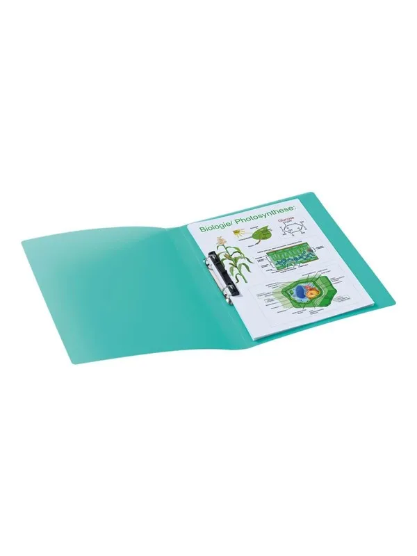 HERMA ring binder - for A4 - translucent turquoise