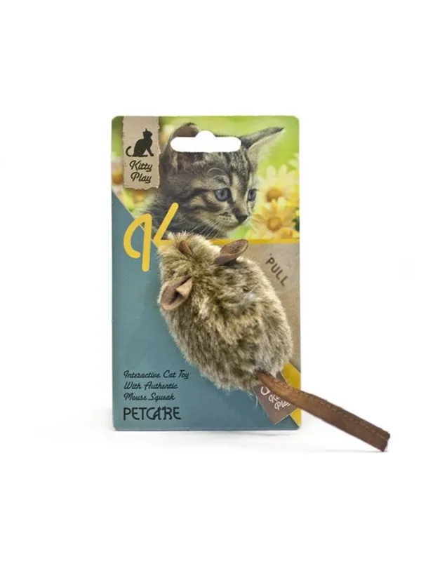 Kitty Play Squeaking Mouse