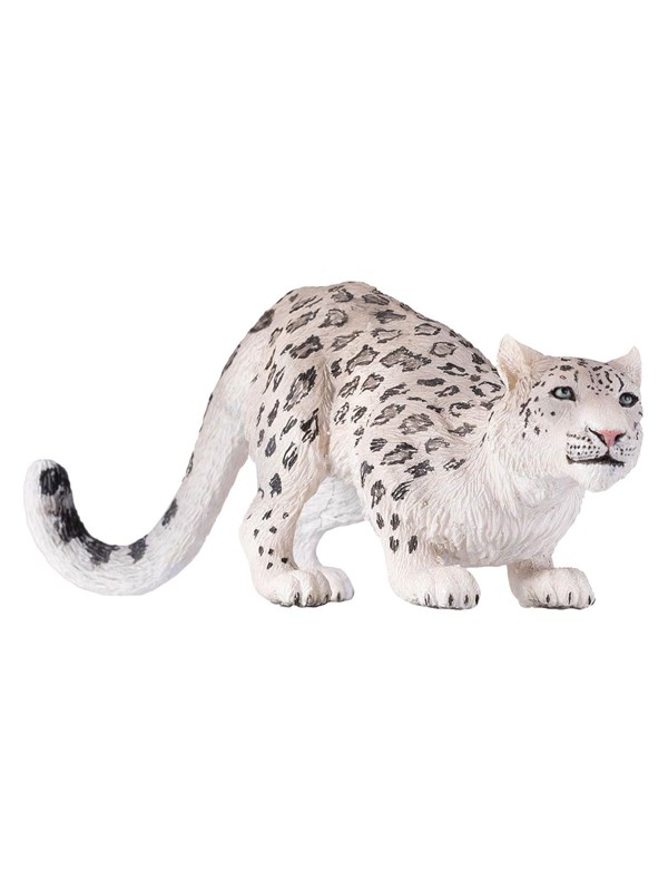 Mojo - Wildlife Snow Leopard