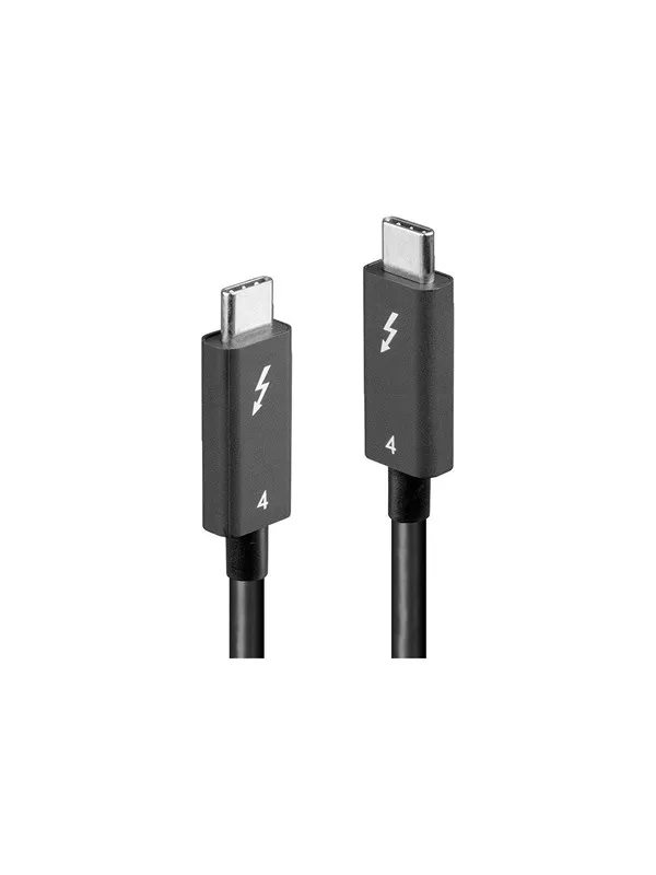 Lindy - Thunderbolt cable - 24 pin USB-C to 24 pin USB-C - 2 m