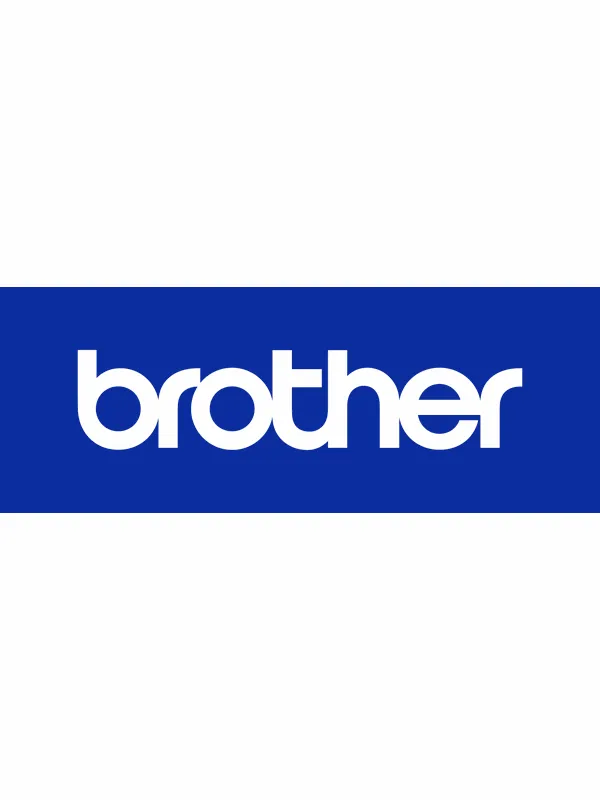 Brother PA-BT-009 - printer battery - Li-Ion Strømforsyning (PSU) - ATX - 80 Plus
