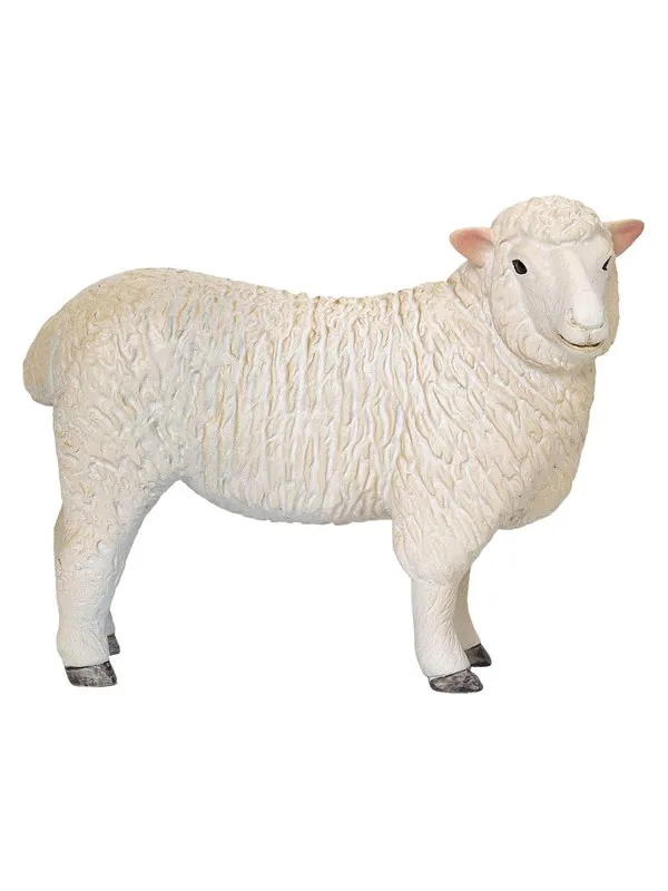 Mojo - Farmland Romney Sheep Ewe