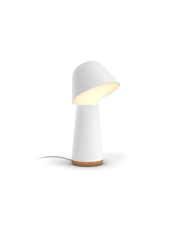 Philips Hue Twilight - White