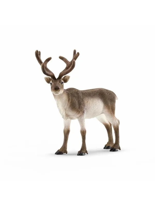Schleich Reinsdyr