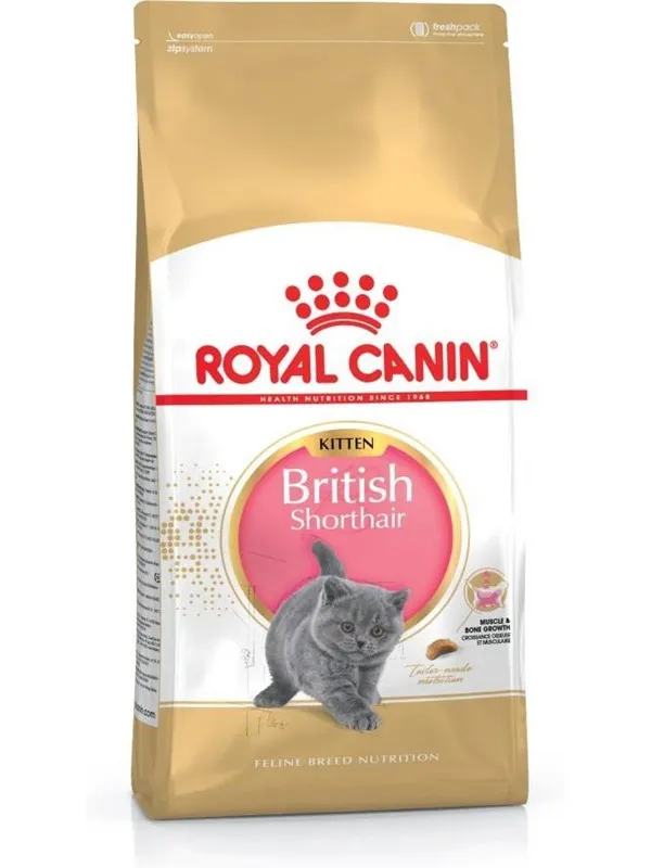 Royal Canin British Shorthair Kitten cats dry food