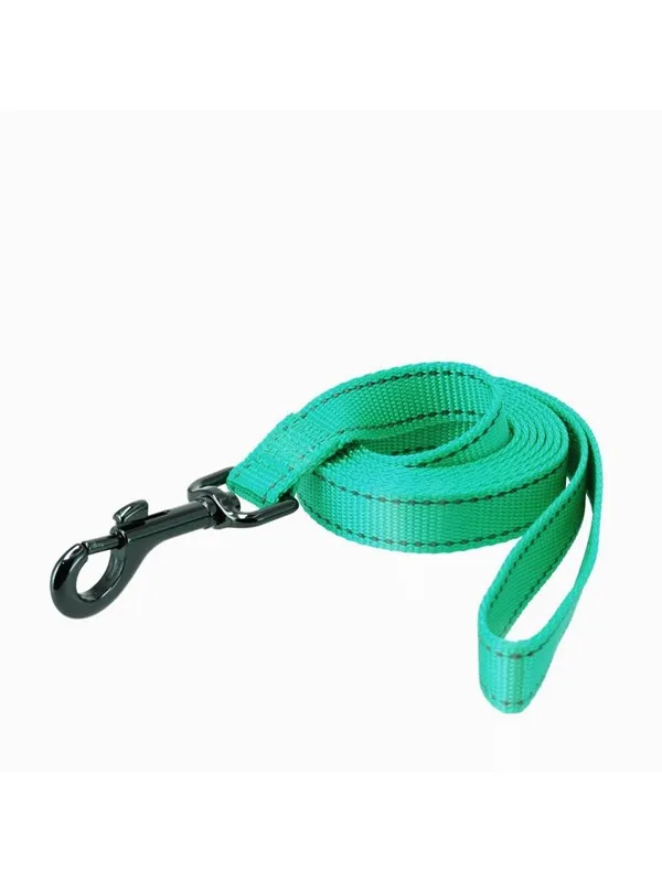 Dogman Reflective Nylon Dog Leash Iris Turquoise XS 10mm 180cm