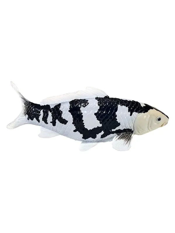 Mojo Sealife Koi Carp - Shiro Utsuri Koi