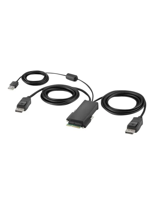 Belkin Secure Modular DP Dual Head Host Cable