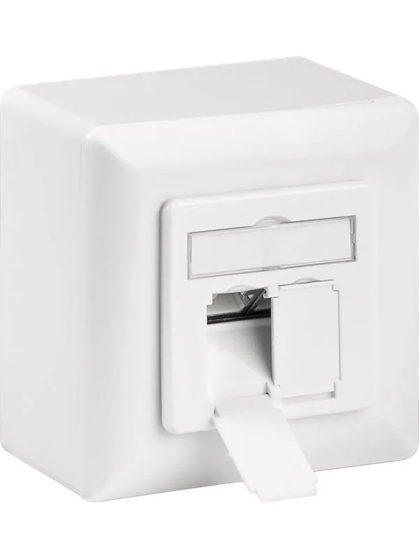 Pro CAT 6 universal wall plate incl. on-wall mounting