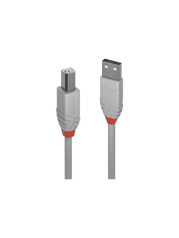 Lindy Anthra Line - USB cable - USB to USB Type B - 5 m
