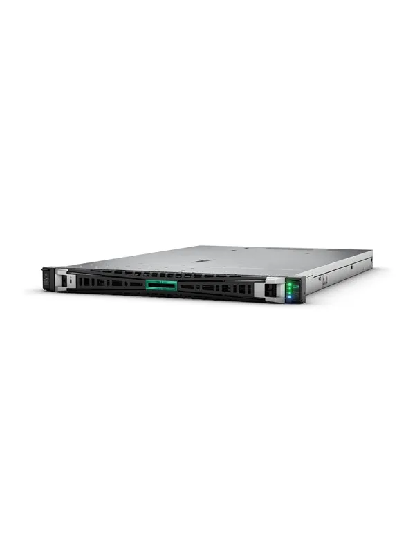 Hewlett Packard Enterprise HPE ProLiant DL365 Gen11