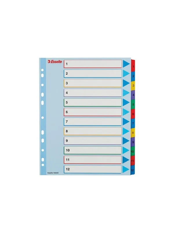 Esselte - divider - 12 parts - for A4 Maxi - tabbed (pack of 10)