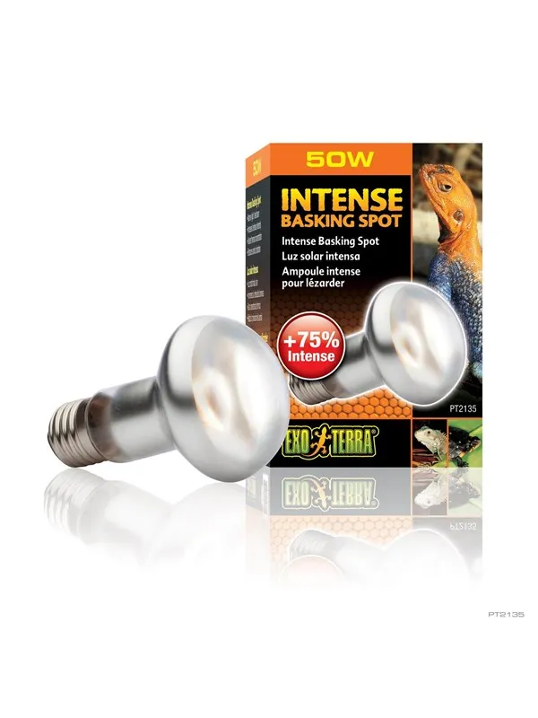 EXO TERRA Intense Basking Spot 50W