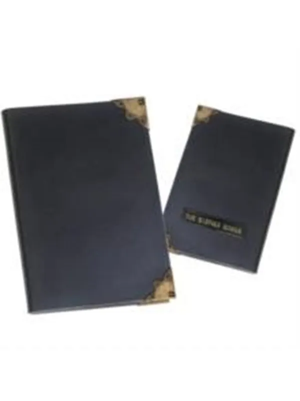 Harry Potter - Tom Riddle Diary (3)