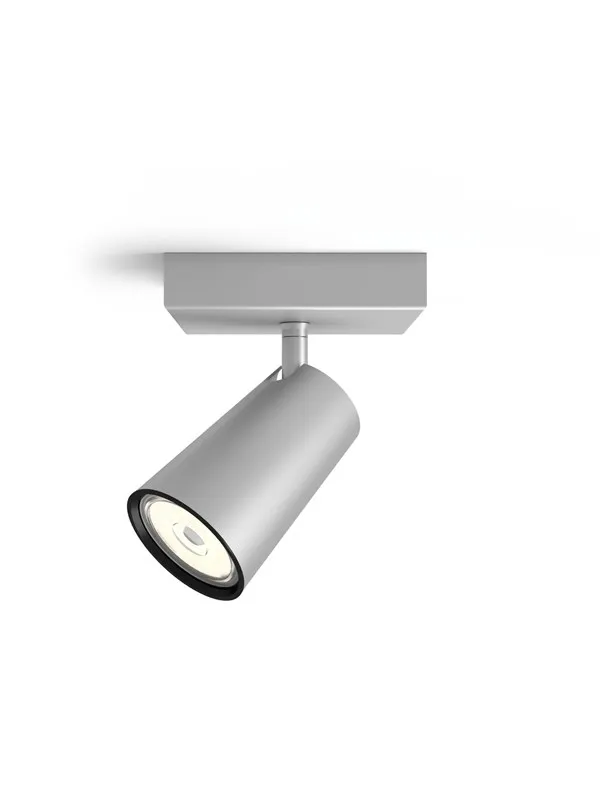 Philips PAISLEY single spot aluminium 1xNW