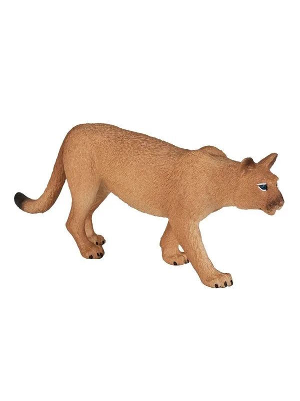 Mojo - Wildlife Puma
