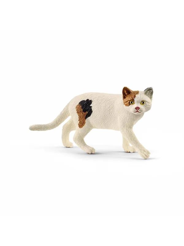 Schleich Amerikansk korthårskatt
