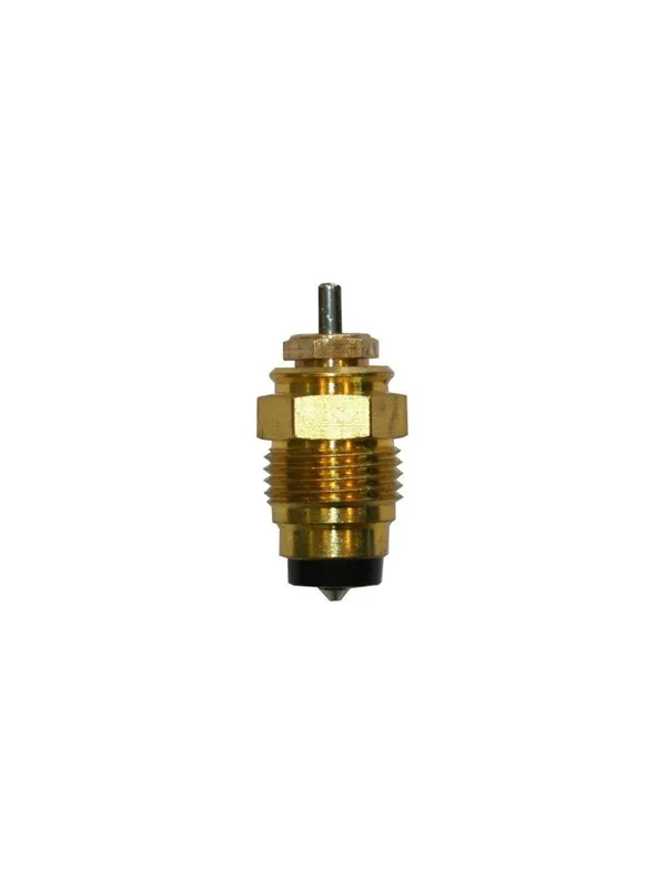 Pettinaroli Valve insert  pettinaroli