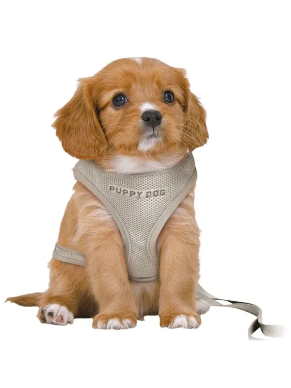 Trixie Junior Puppy Myk Sele med Bånd Størrelse S-M Mageomkrets 26-34cm