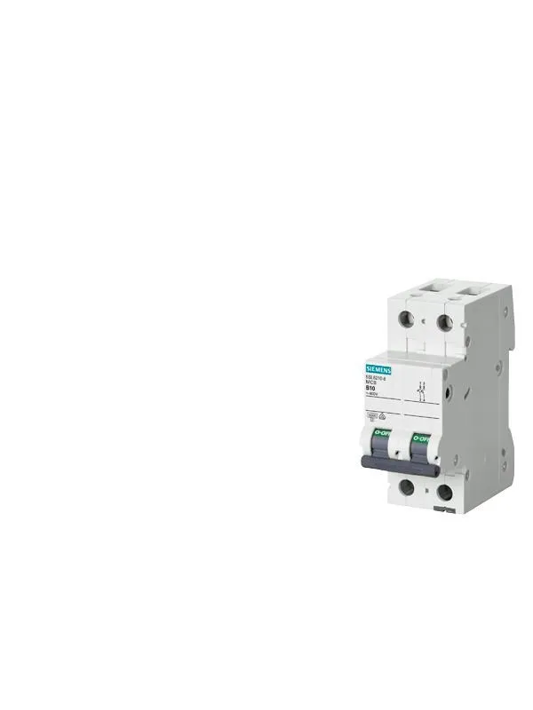 Siemens Circuit breaker 6ka 2pol c6 5sl6206-7