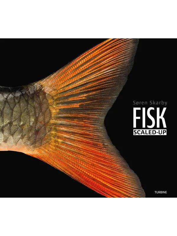 FISK - scaled-up