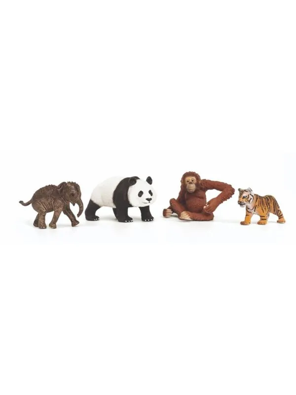 Schleich Wild Life "Asia" Start Sett