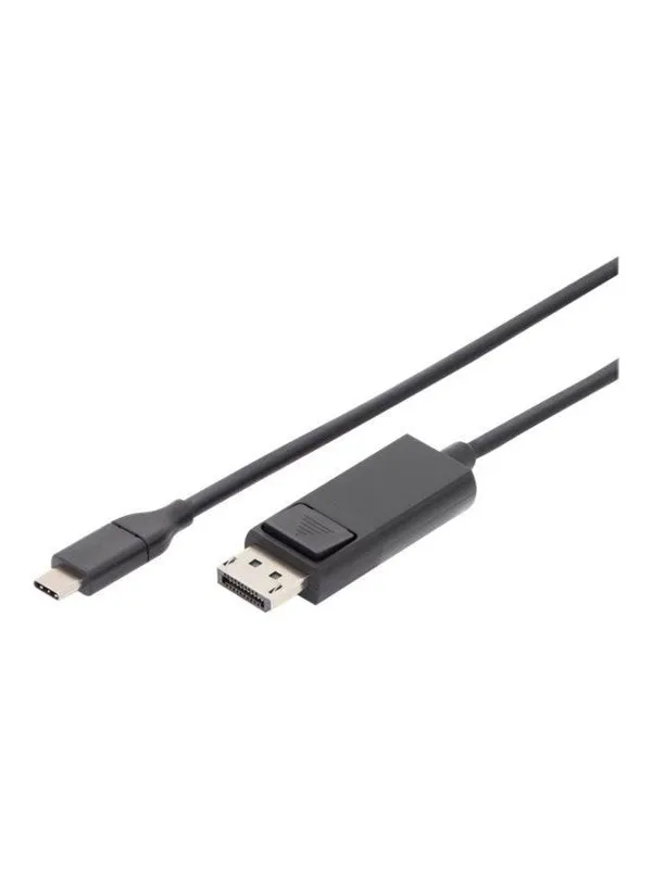 DIGITUS - DisplayPort cable - USB-C to DisplayPort - 2 m