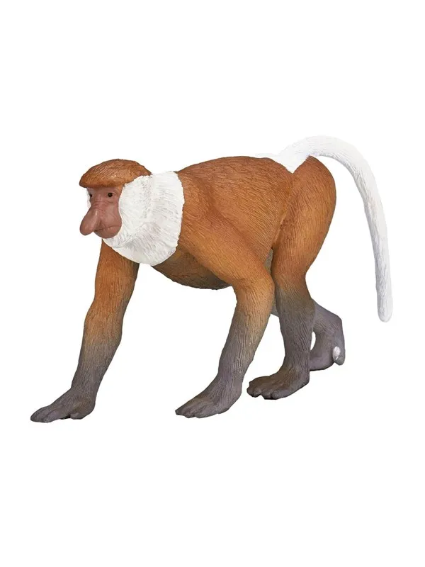 Mojo - Wildlife Proboscis Monkey