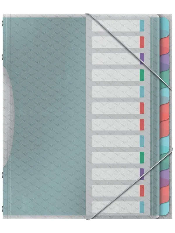 Esselte Sorteringsmappe  Colour'Ice PP 12-delt