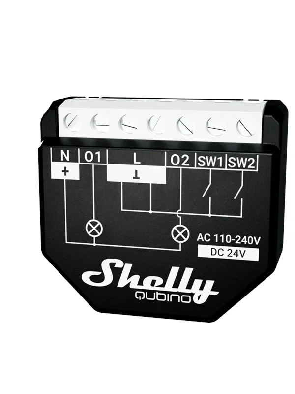 Shelly Qubino Wave 2PM