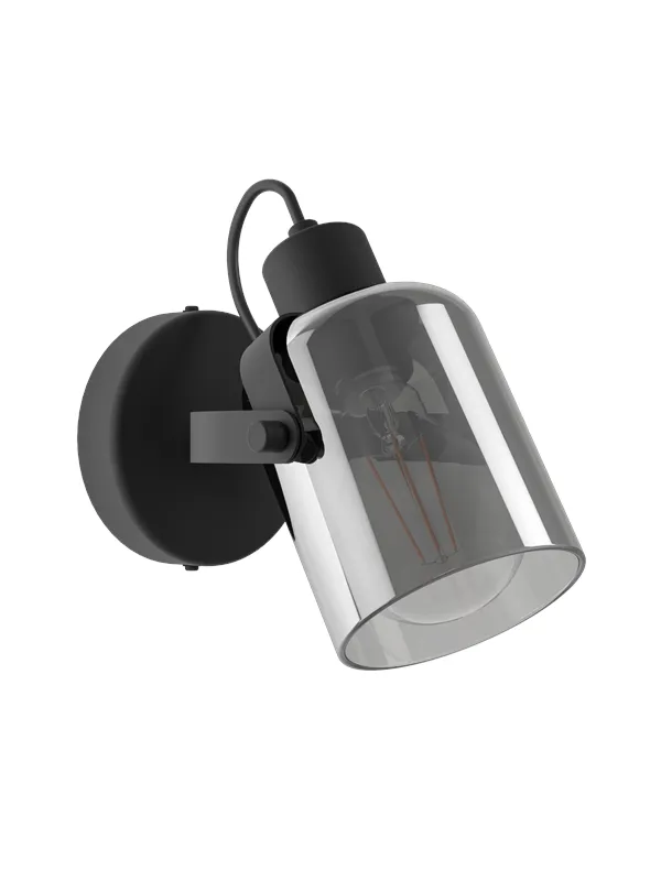 EGLO BERREGAS spot black/transparent