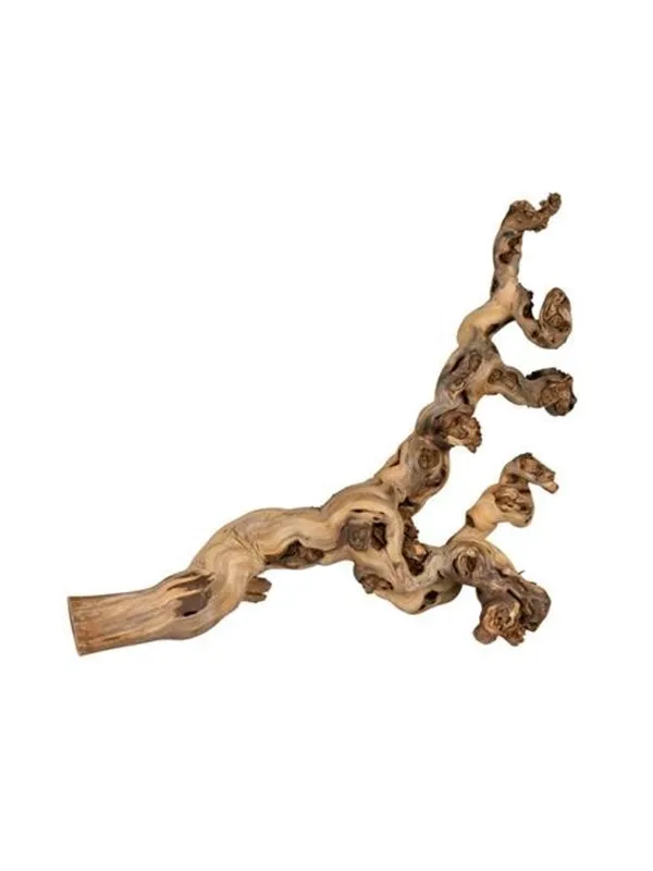 Trixie Grape Vine water-blasted for birds and small animals 55-75cm