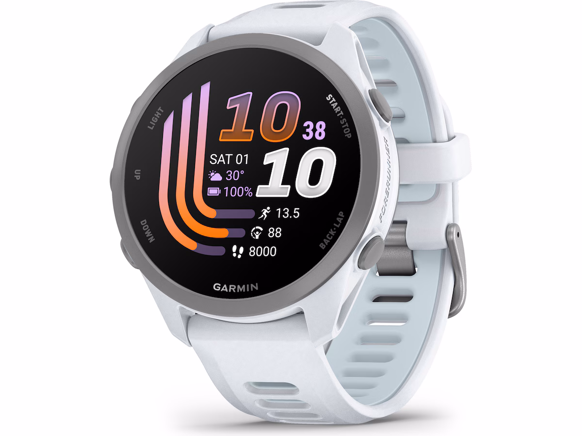 Garmin Forerunner 170 42mm GPS (whitestone/cloud blue)