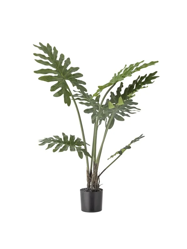 Bloomingville Philodendron