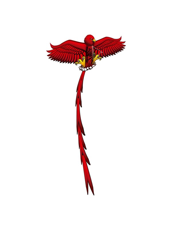 Kites Ready 2 Fly - Pop-up 3D Kite Eagle