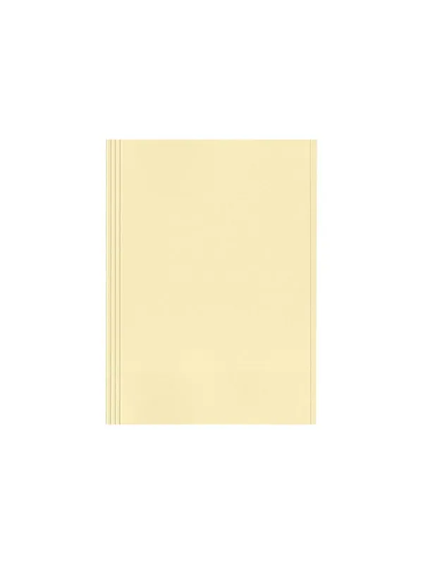 Esselte - file folder - for A4 - yellow (pack of 100)