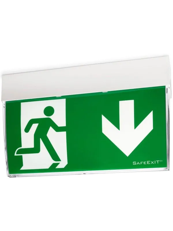 CEAG ( Safeexit  ) F1 at escape sign