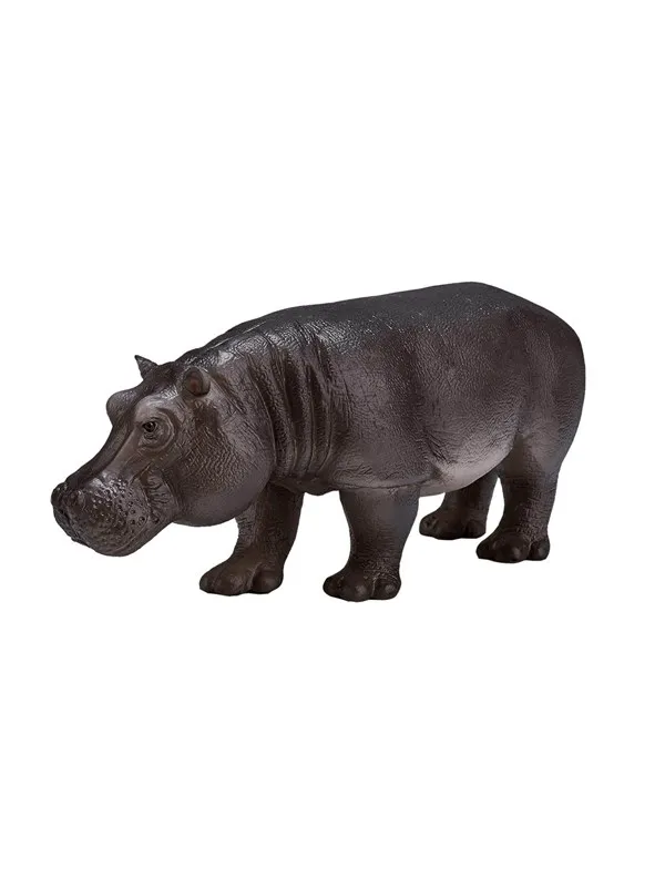 Mojo - Wildlife Hippopotamus Female