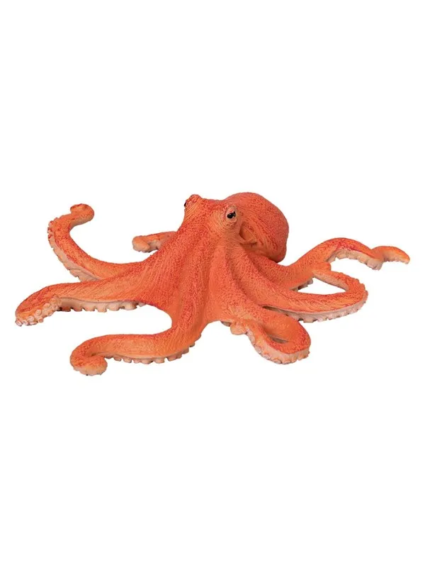 Mojo - Sealife Octopus