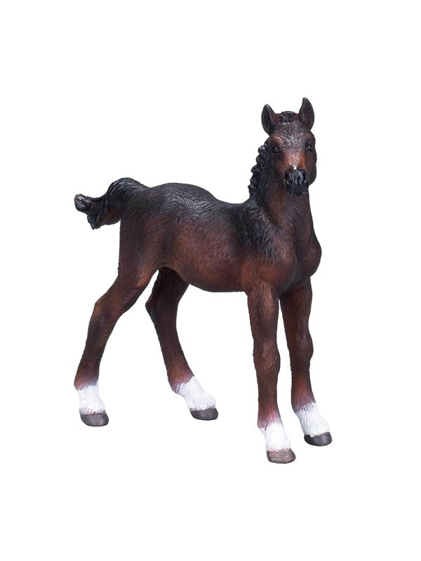 Mojo Horse World Hanoverian Foal Brown