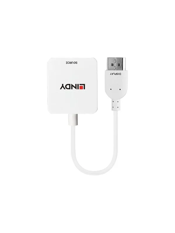 Lindy HDMI to DisplayPort 4K30Hz Converter