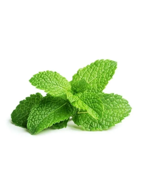 Click & Grow Click and Grow - Smart Garden Refill 3-pack - Peppermint (SGR22X3)