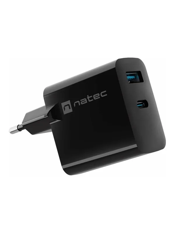 Natec Ribera power adapter - GaN - USB 24 pin USB-C - 65 Watt