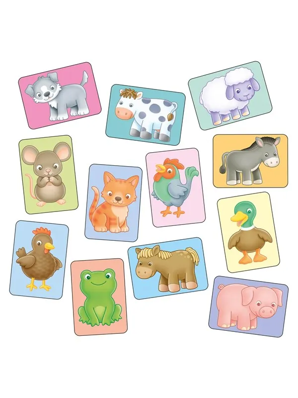 Orchard See & Sound Flashcards