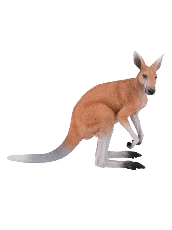 Mojo Wildlife Kangaroo