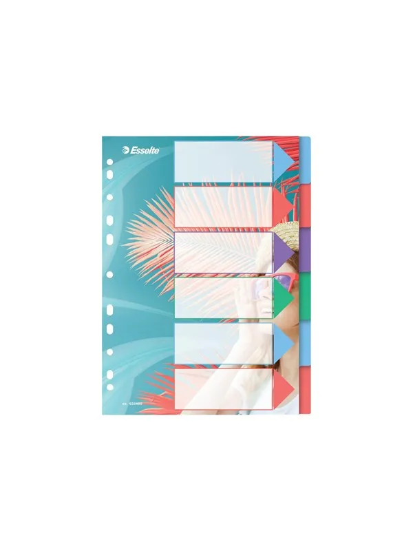 Esselte Colour'Breeze - divider - 6 parts - for A4 - multicolour