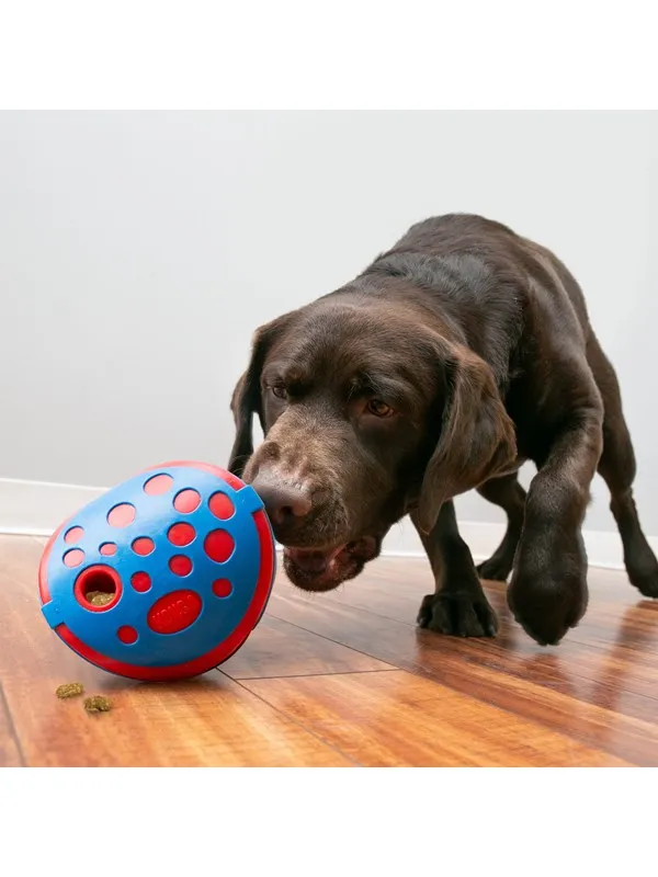 KONG Activation Toy Rewards Wally