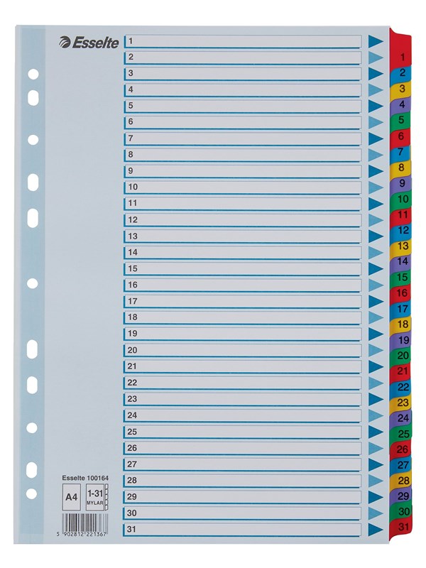Esselte Register  Mylar A4 1-31 Flerfarg