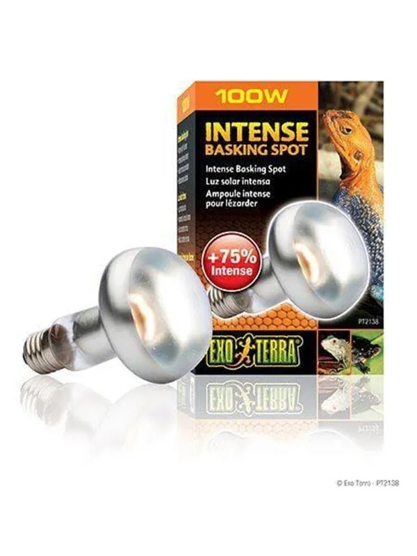 EXO TERRA Intense Basking Spot 100W